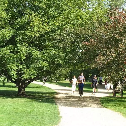 University Parks Oxford summer